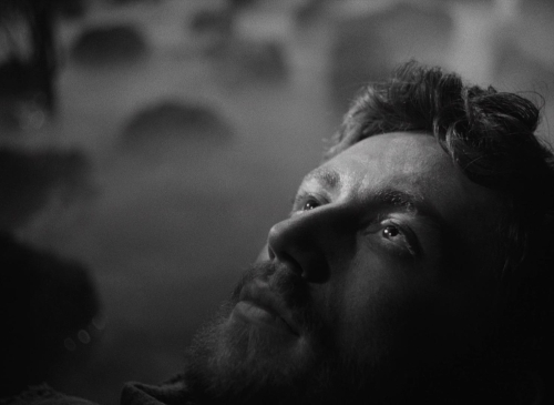 Letter Never Sent 41