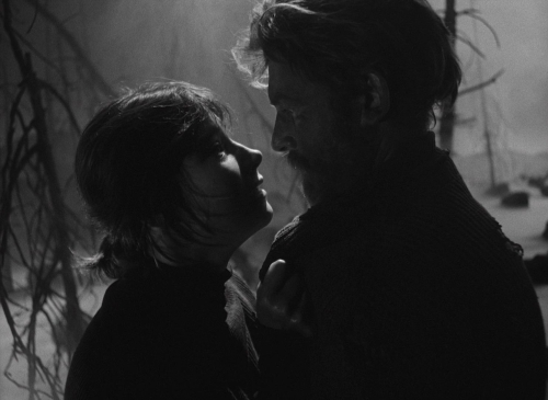 Letter Never Sent 42