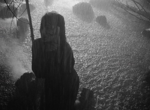 Letter Never Sent 44