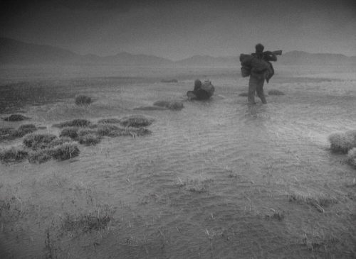 Letter Never Sent 46