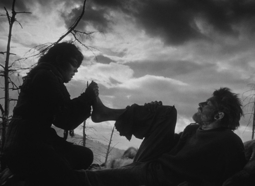 Letter Never Sent 48