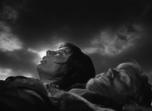 Letter Never Sent 50