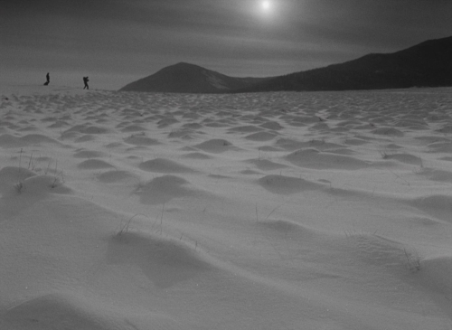 Letter Never Sent 52