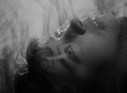 Letter Never Sent 54