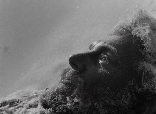 Letter Never Sent 64