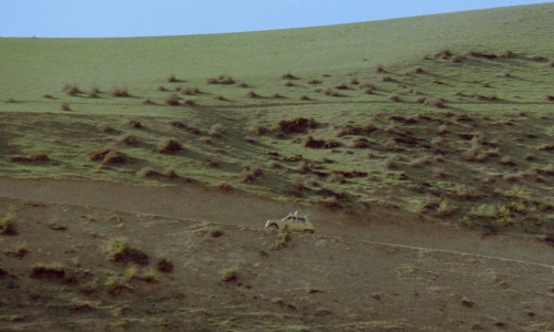 Life and Nothing More 16