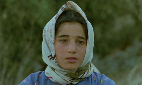 Life and Nothing More 38