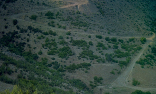 Life and Nothing More 45