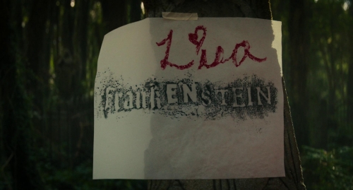 Lisa Frankenstein 03