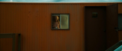 Love Lies Bleeding 14