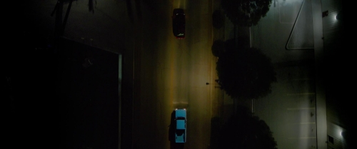 Love Lies Bleeding 26