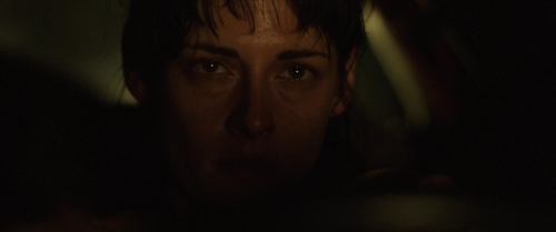 Love Lies Bleeding 27