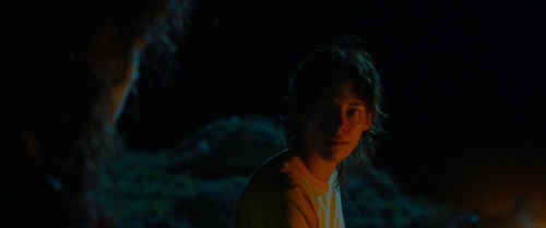 Love Lies Bleeding 28