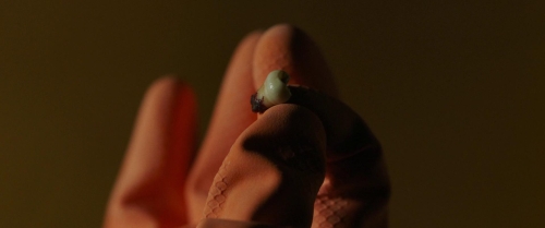 Love Lies Bleeding 32