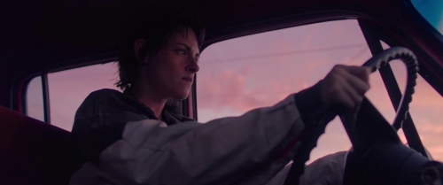 Love Lies Bleeding 56