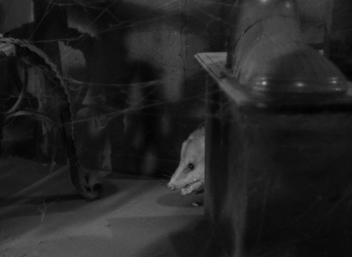 Mark of the Vampire 24