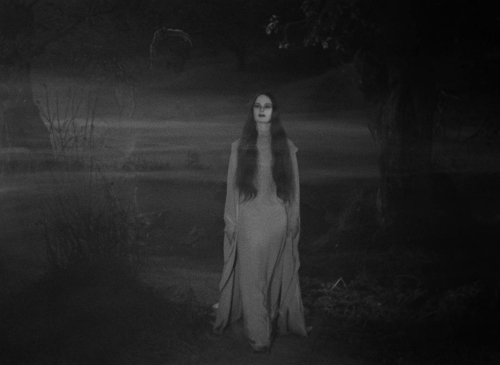 Mark of the Vampire 26