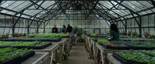 Master Gardener 11