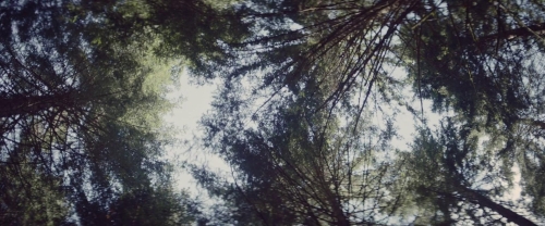 Meanwhile on Earth 26