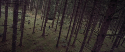 Meanwhile on Earth 30