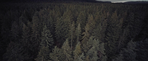 Meanwhile on Earth 31