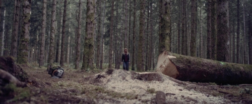 Meanwhile on Earth 34