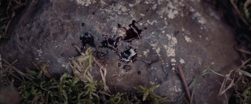 Meanwhile on Earth 37