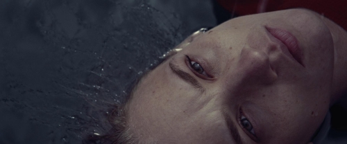 Meanwhile on Earth 47