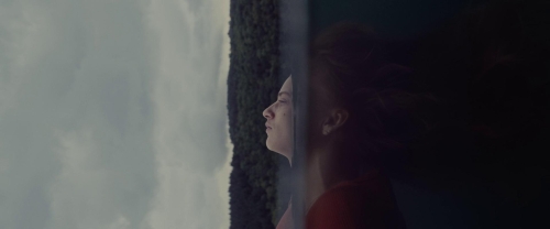 Meanwhile on Earth 48