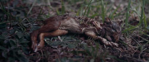 Meanwhile on Earth 54