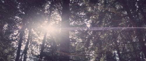 Meanwhile on Earth 55