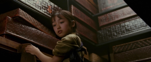 Memoirs of a Geisha 13