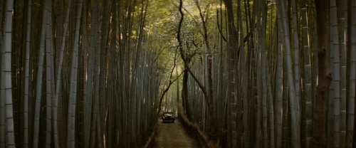 Memoirs of a Geisha 40