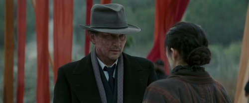 Memoirs of a Geisha 50