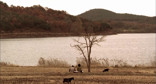 Memories of Murder 52