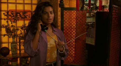 Mississippi Masala 30