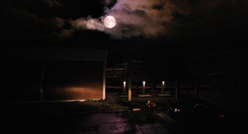 Mona Lisa  the Blood Moon 09