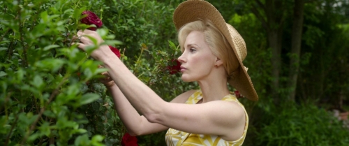 Mother's Instinct 13