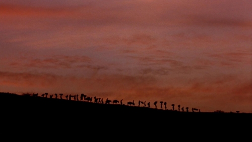 Mountains of the Moon 26