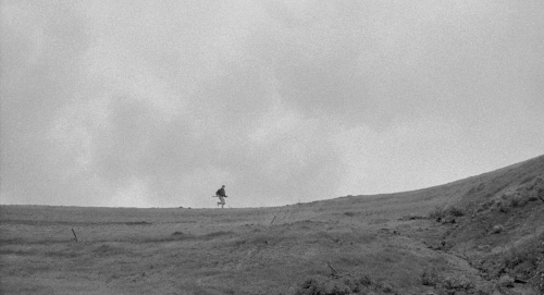 Murder By Contract 48