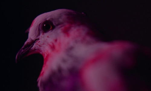 Neptune Frost 25