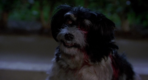 Night of the Creeps 47