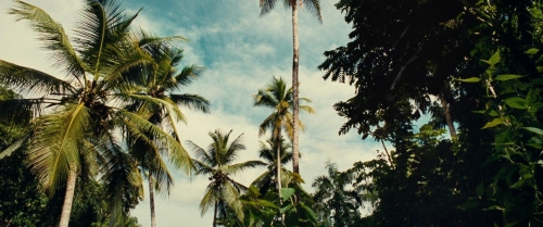 Old 01