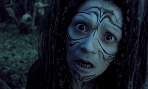 On The Silver Globe 21