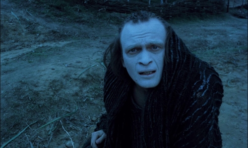 On The Silver Globe 27