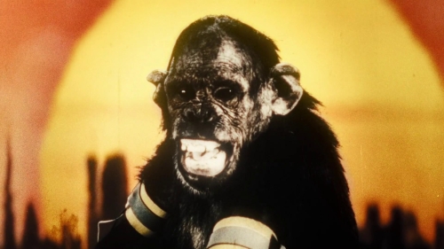 Once Within A Time 49