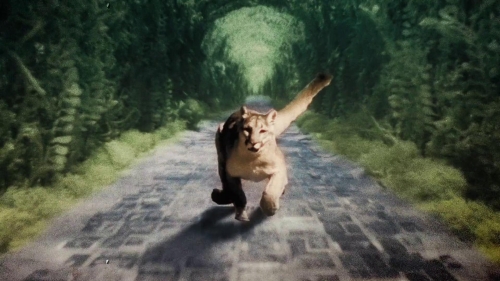 Once Within A Time 61