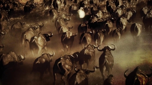 Once Within A Time 63