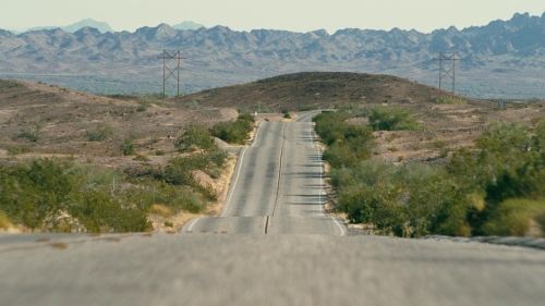 One Battle After Another55