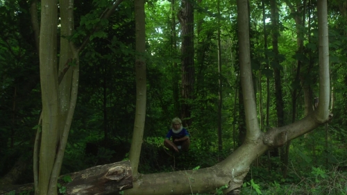 Orlando My Political Bio 05